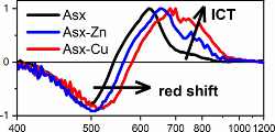 Transient absorption spectra of astaxanthin metal complexes